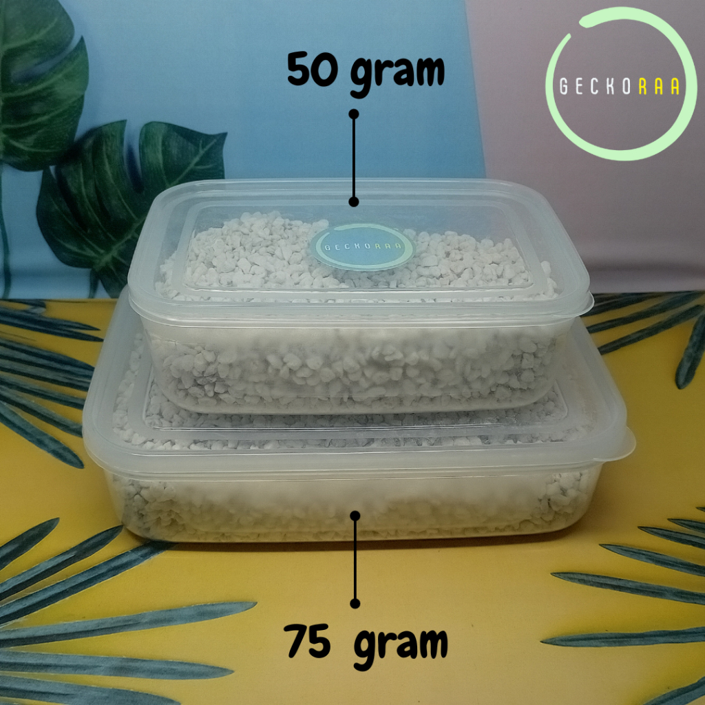 Perlite dengan Kotak Kedap Udara Media Inkubasi Telur Reptil Gecko AFT