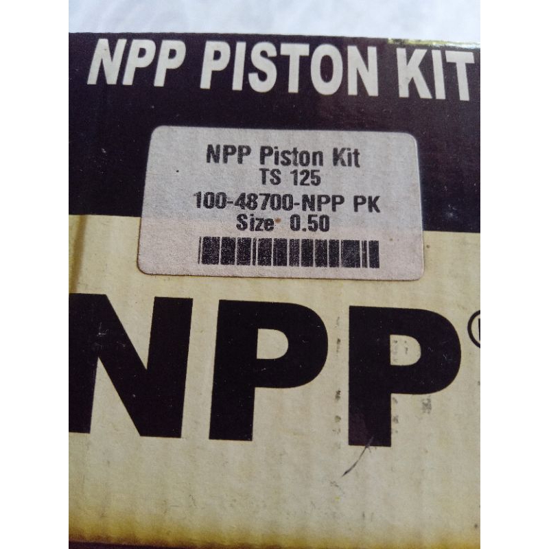 piston kit  TS 125
