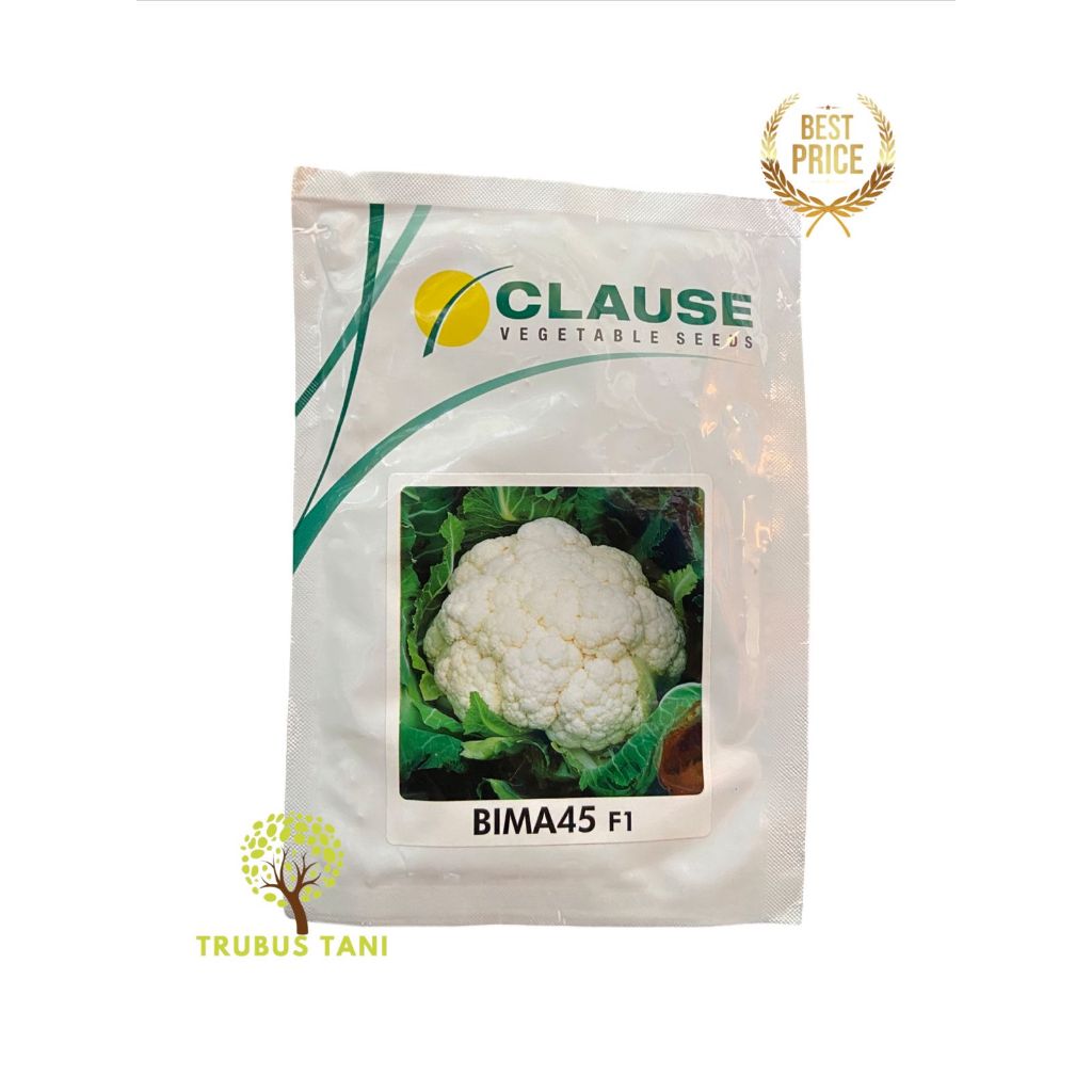 BENIH Kembang Kol Hibrida Bima 45