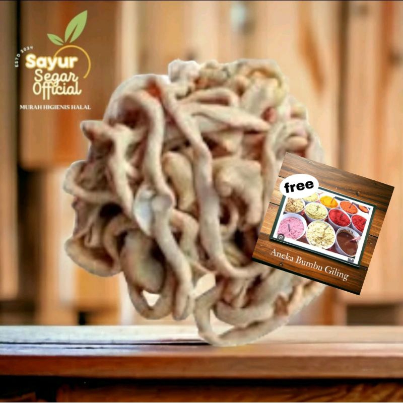 

Usus Ayam Bersih 500gr Free Bumbu Giling (by request)