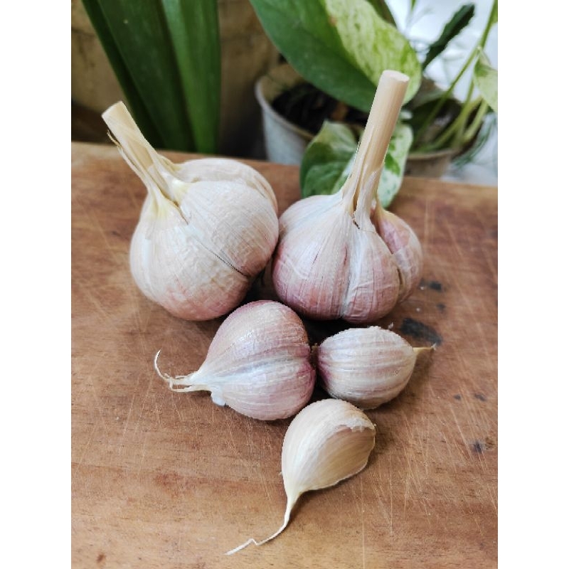 

(-+100gr)bawang putih kating