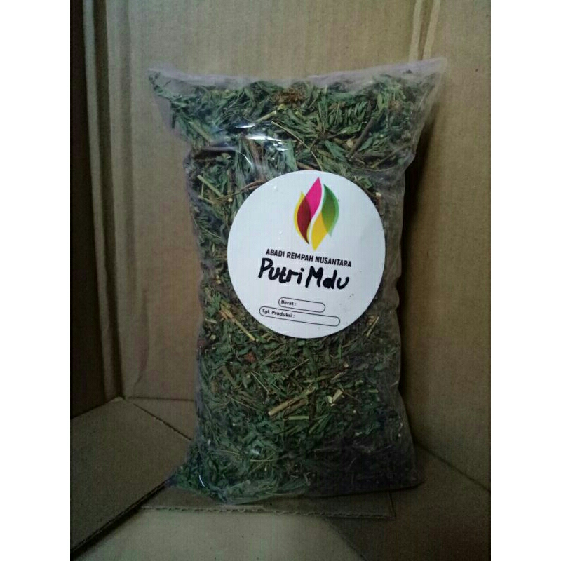 

Putri Malu kering/Teh putri malu (Mimosa pudica) 100grm