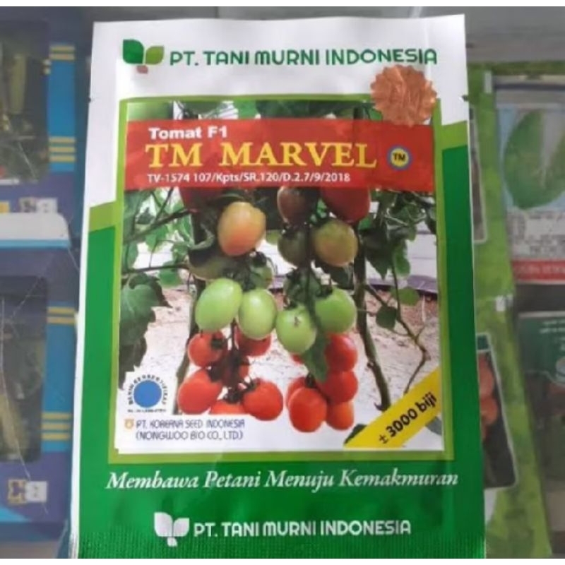 Benih tomat TM Marvel f1 10 gram bibit tomat hibrida produksi Tani Murni