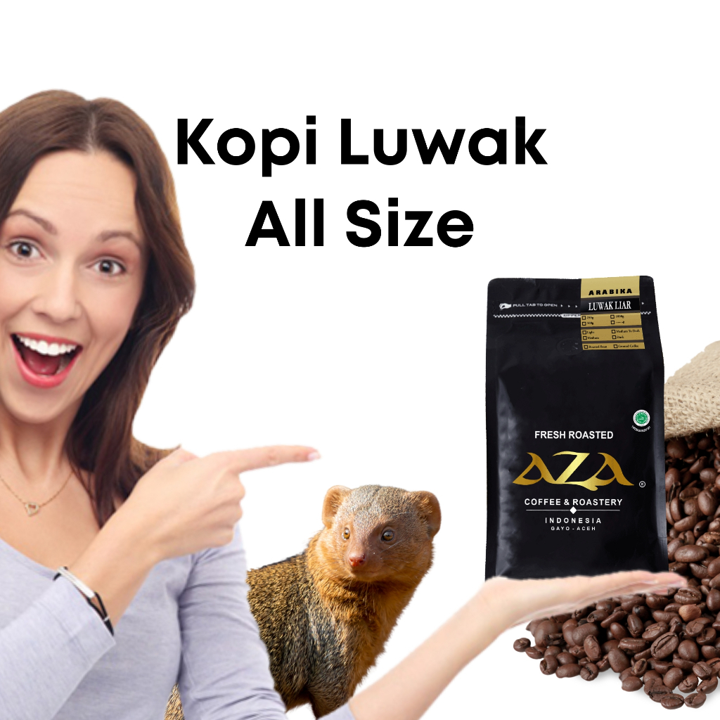 

Kopi Luwak Liar Bersertifikat Arabica Aceh Gayo Coffe Asli Fresh Roast AZA Coffee Roasted Bean