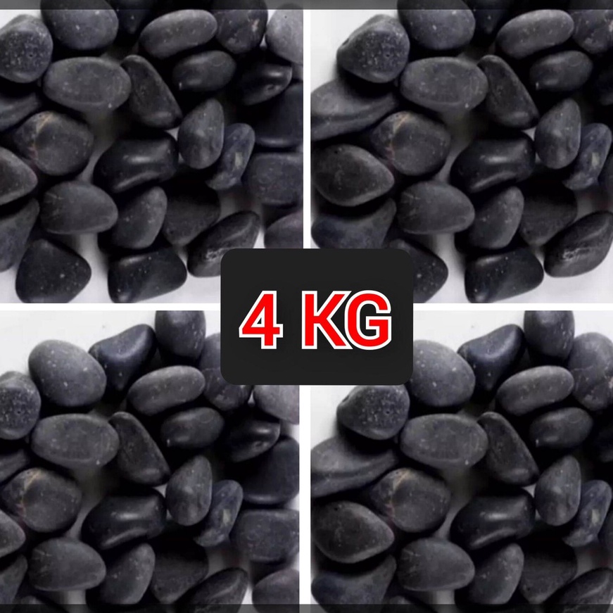 Ekstra batu koral hitam taman dan aquarium 4kg  batu hias koral hitam  batu koral warna hitam  batu