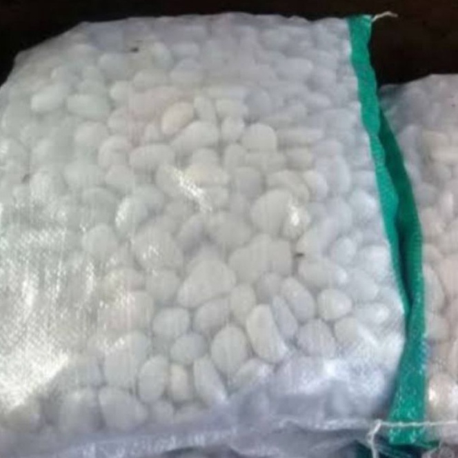 Termurah Batu Koral Putih  Batu Hias Taman  Batu Koral Hiasan Taman