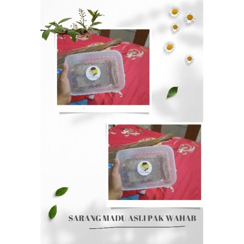 

Sarang Madu Asli 100% - Kualitas Premium 500 Gram - Terlaris di Pasuruan - Beli 20 Box Free Emas 0,2 Gram