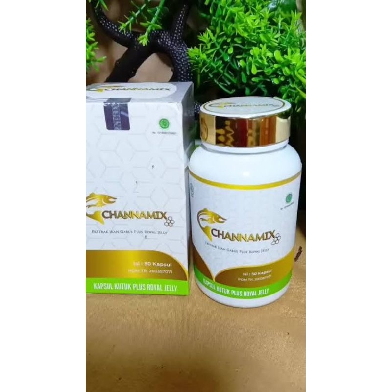 Kapsul Kutuk Channamix Ekstrak Albumin