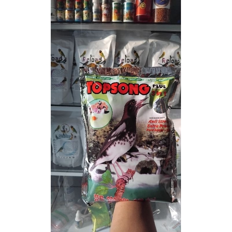 TOPSONG PLUS 3IN1 Voer murai kacer burung kicauan