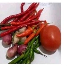 

Cabai Lombok Paket sambelan