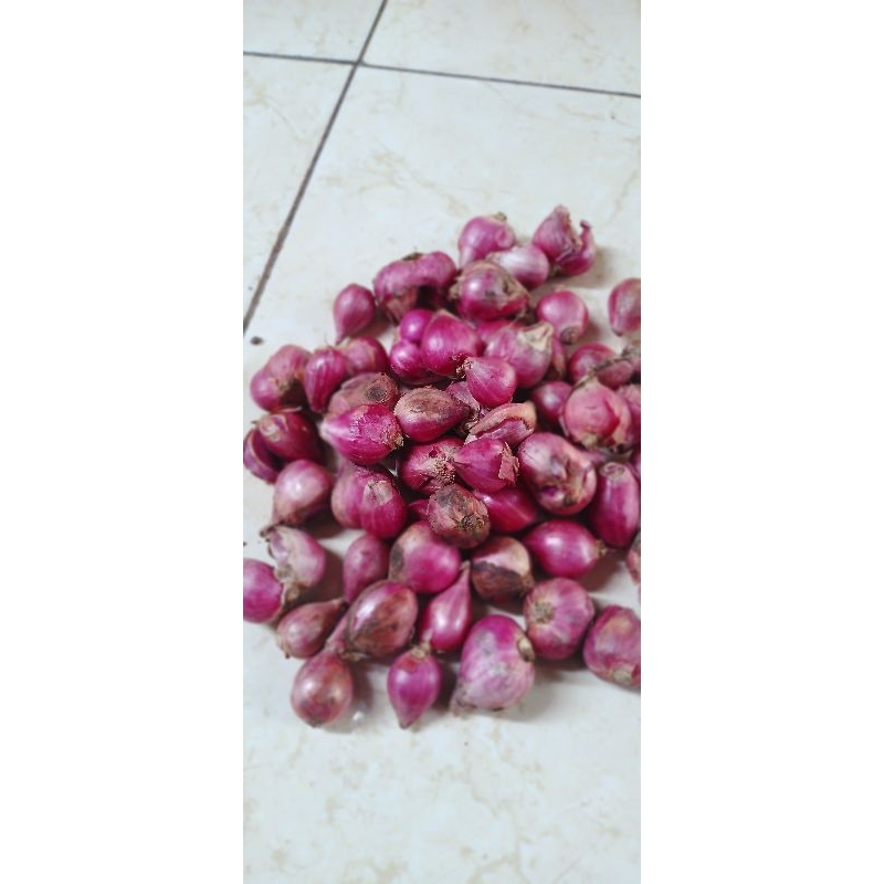 

Bawang Merah Asli Kendal