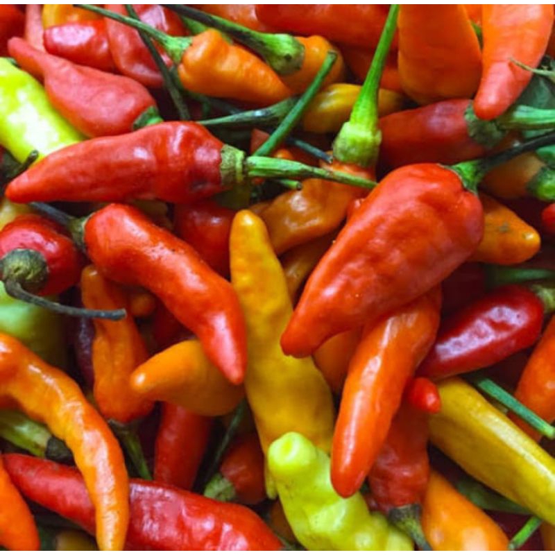 

Cabe rawit merah pedas 500gr