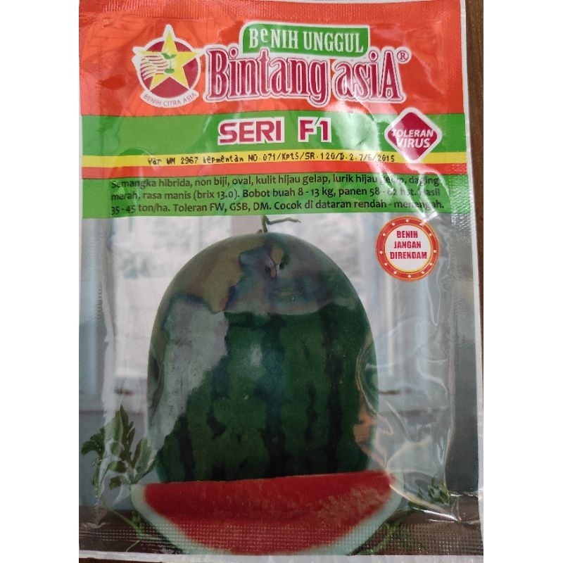 SEMANGKA NON BIJI SERI F1 DARI BINTANG ASIA, 20 GRAM, SEMANGKA OVAL