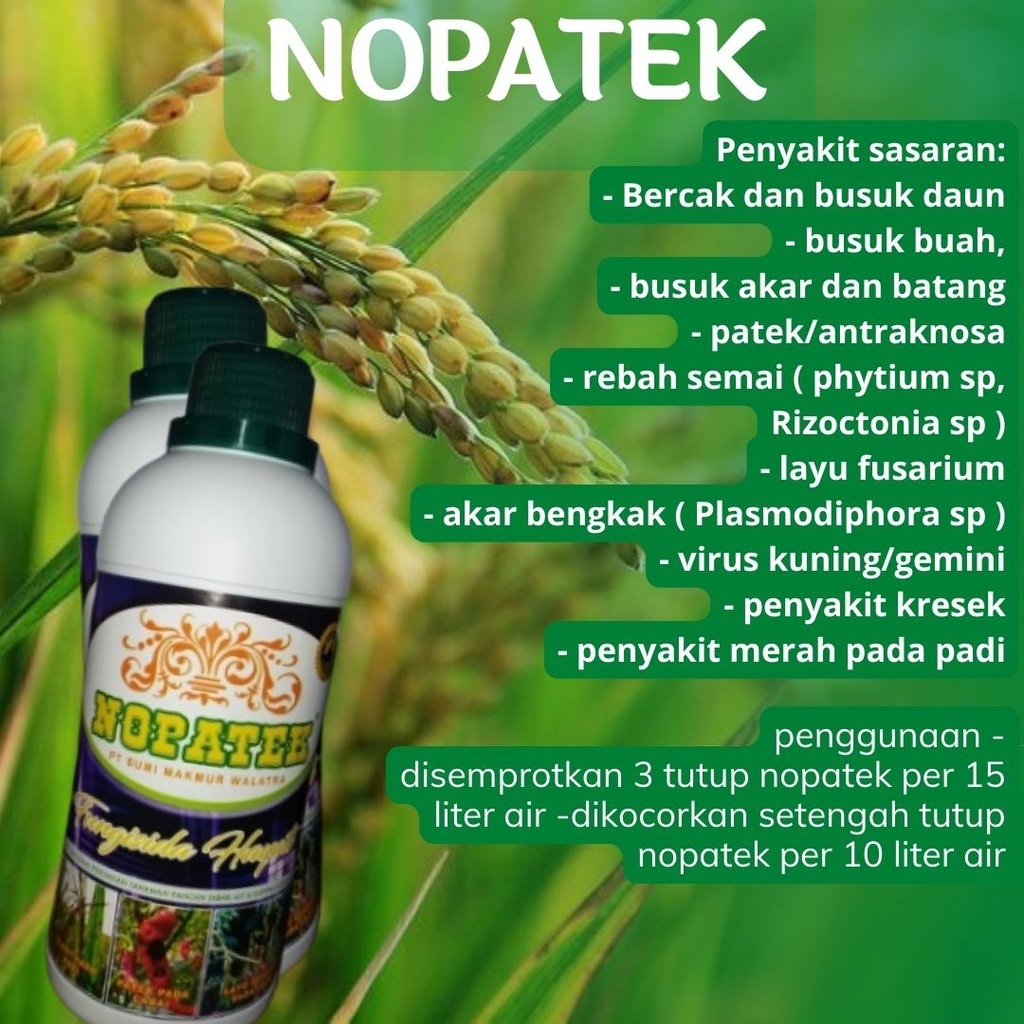 FUNGISIDA NOPATEK pupuk daun kuning keriting cabai, pepaya, melon, tomat, kacang semua tanaman
