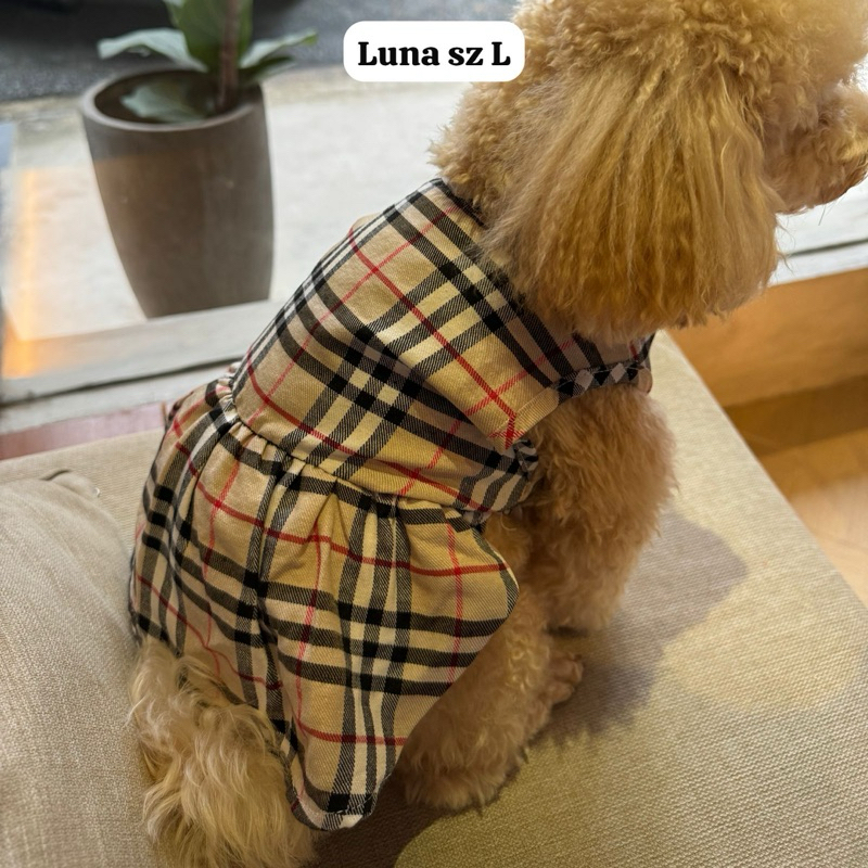 Pet dress/ Baju doggy anjing kucing
