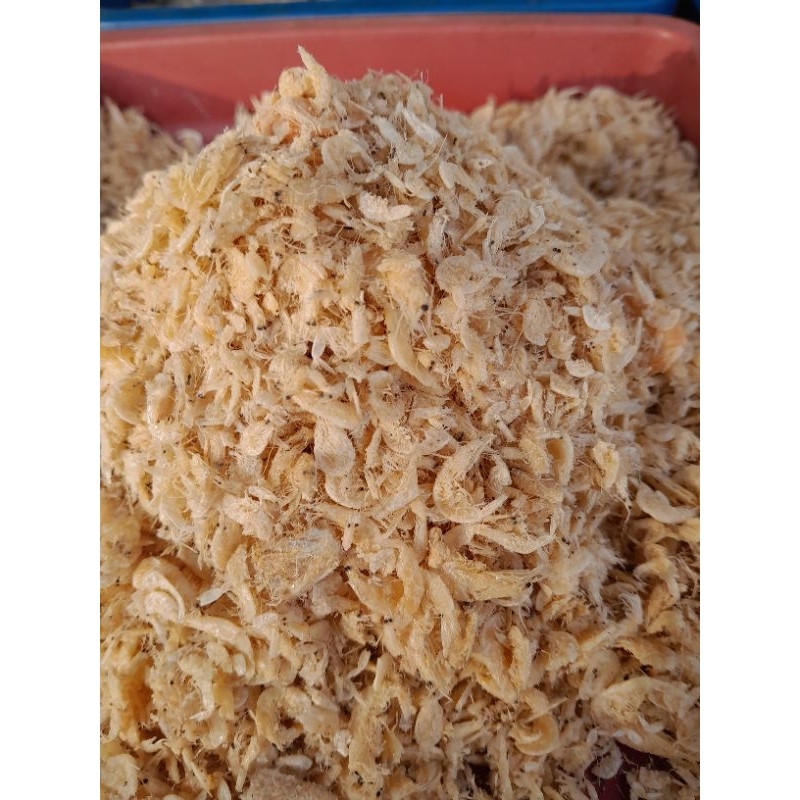 

teri rebon