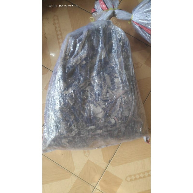 (SAMEDAY/INSTANT ONLY) Pakan Jangkrik Alam Ternak Hidup 1 Karung berat 1KG