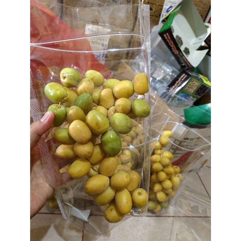 

kurma muda panen terbaru / kurma muda promil