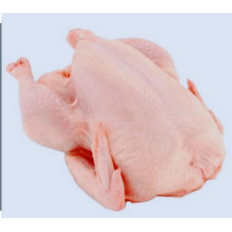 

ayam 600-700 gr