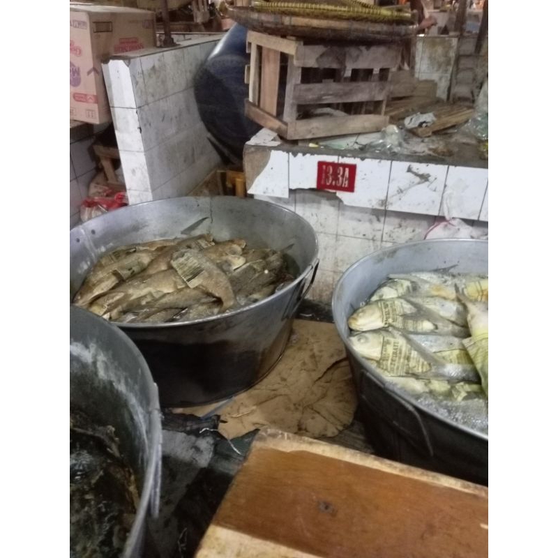 

pindang cihaliwung