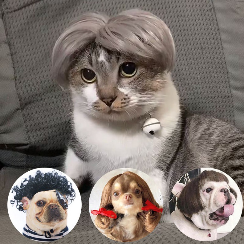 KODE X74X Kostum Rambut Palsu Hewan Wig Hewan Anjing Kucing Aksesoris Rambut Untuk Halloween Anjing 