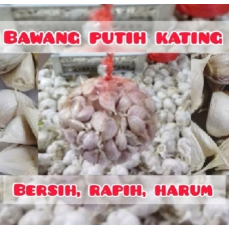 

Bawang Putih Kating 500kg