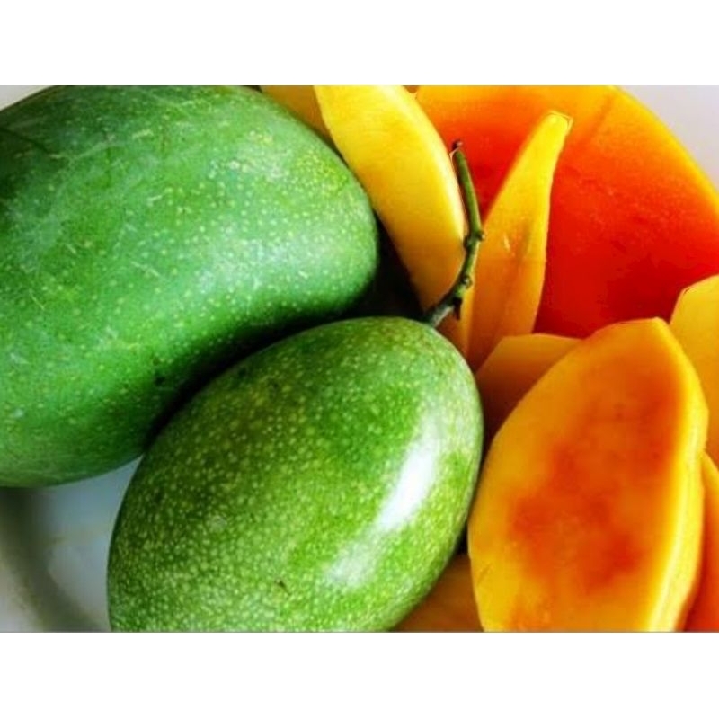 

Mangga Manalagi Potong Manis