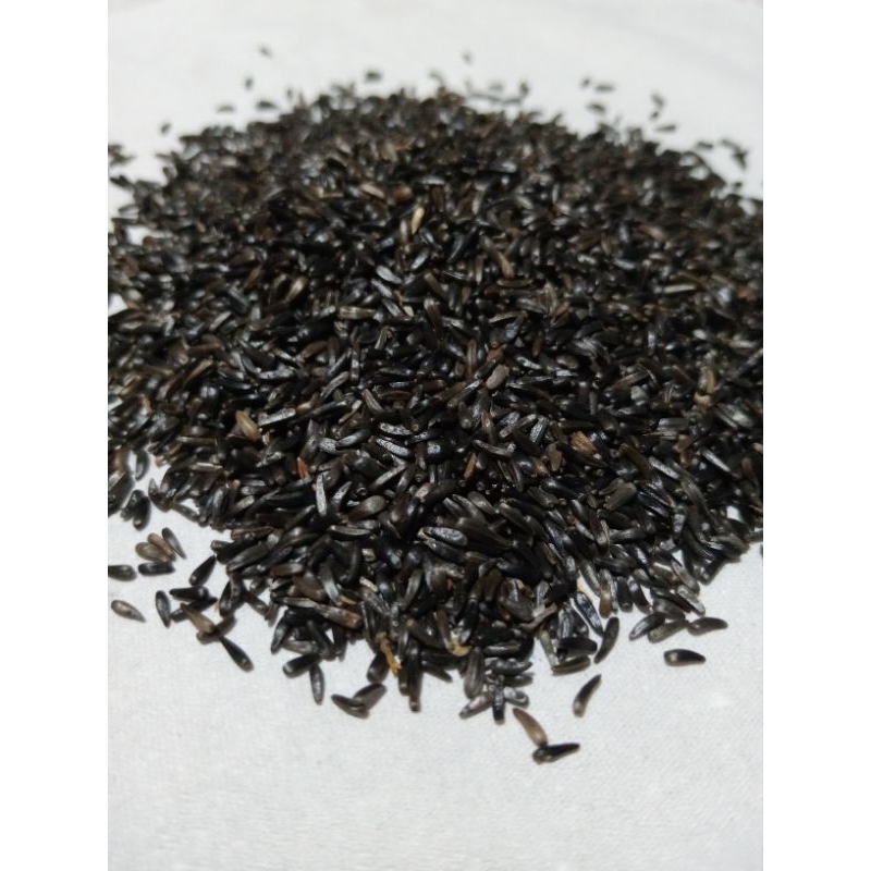 Niger Seed - Pakan Burung Kenari - Love bird dan burung kicau lainnya