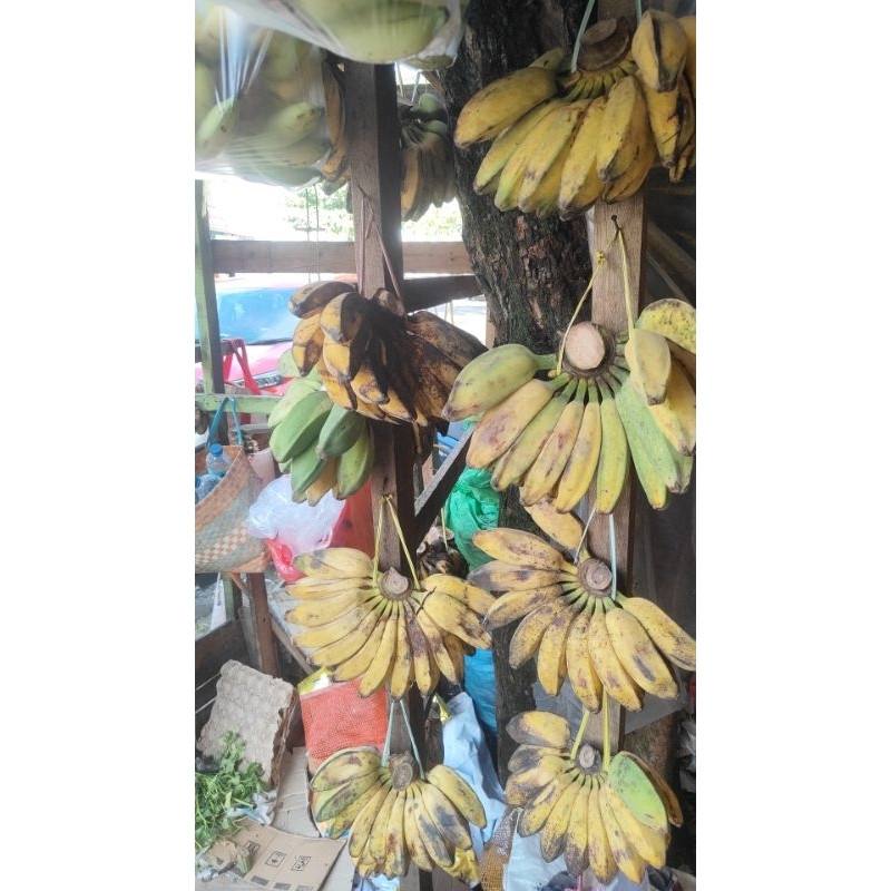 

Pisang Sanggar/Kepok Tanpa Karbit