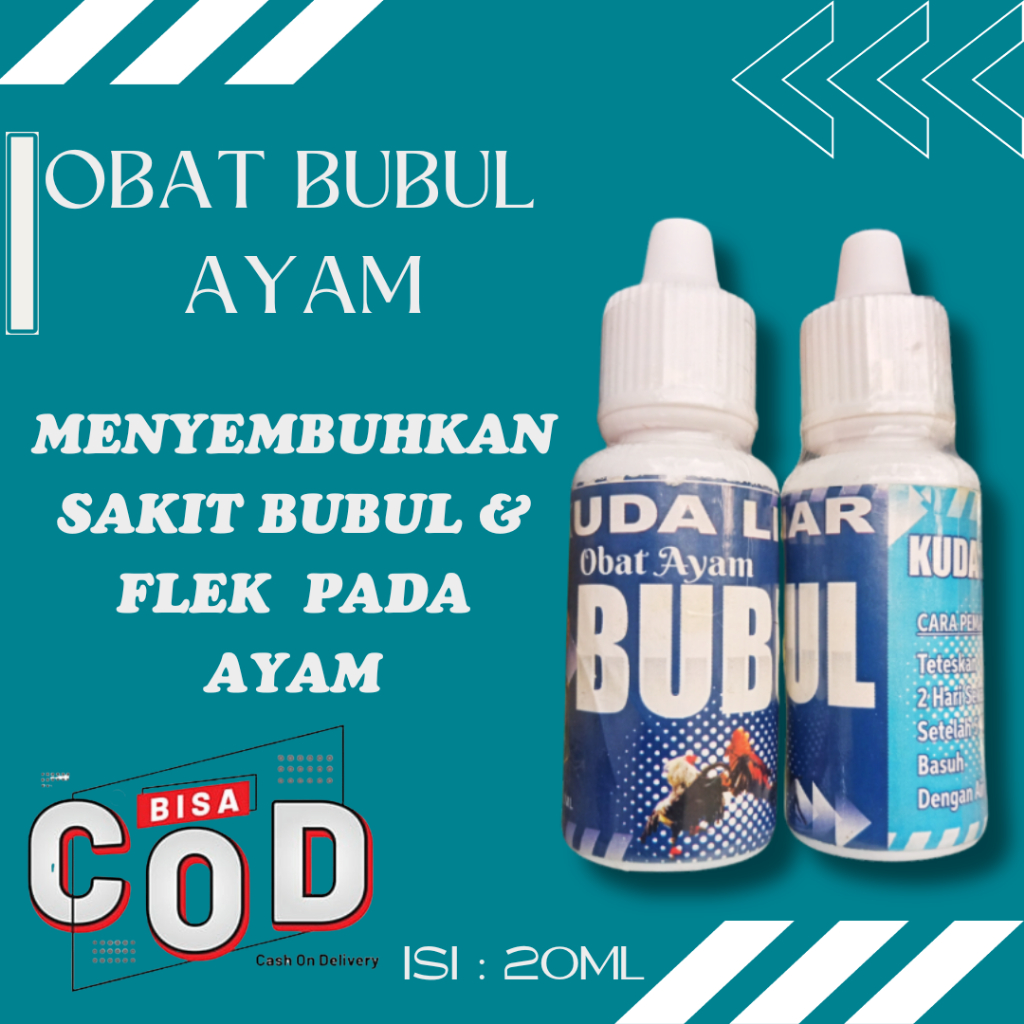 Obat Bubul AYam Khasiat Menyembuhkan Kaki Bubul Pada Ayam || Kuda Liar Obat Bubul Ayam
