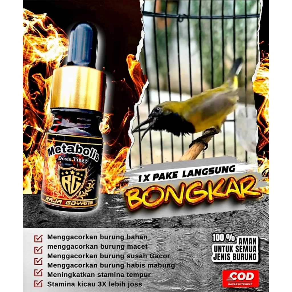 Metabolis Rajagoyang Original RG Vitamin Doping Herbal kicau Burung MURAI BATU KACER PENTET SOGON