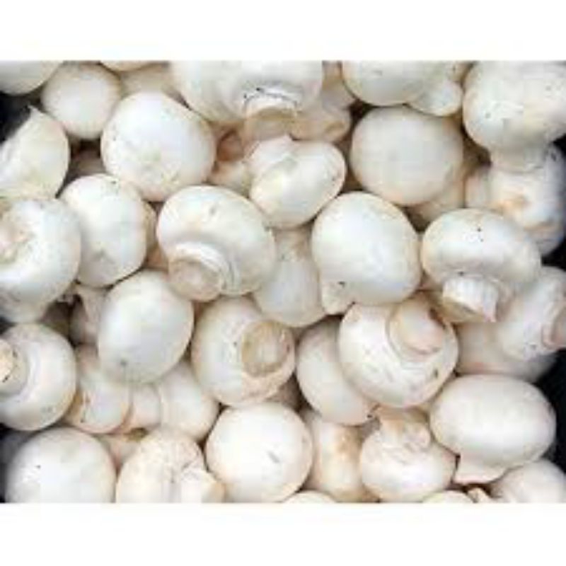 

jamur champignon/500gram