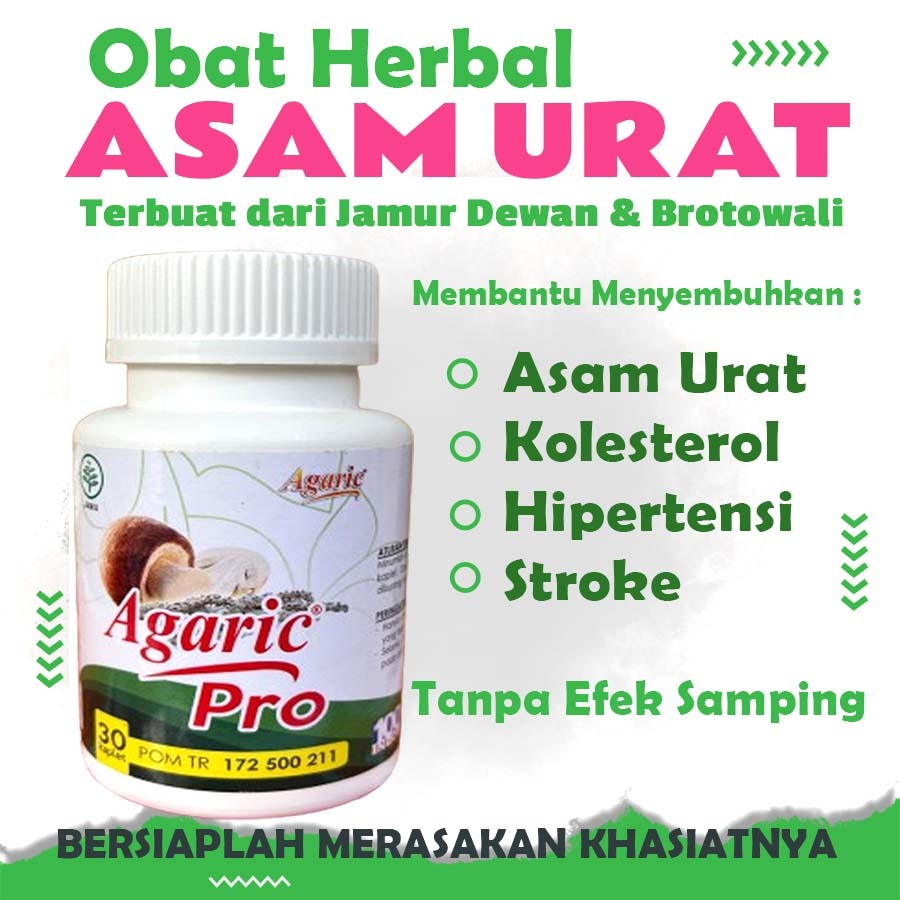OBAT ASAM URAT OBAT KOLESTEROL AGARIC PRO GRATIS ONGKIR