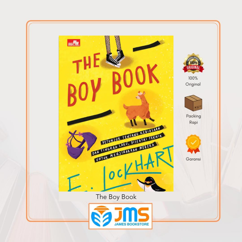 Novel The Boy Book by E. Lockhart