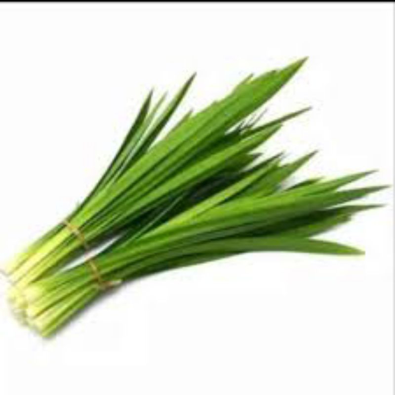

daun pandan perIKAT