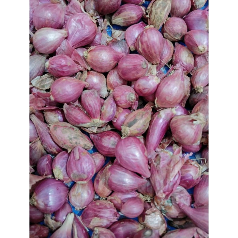 

SATU DUS BAWANG MERAH KECIL 1KG