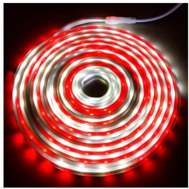 LAMPU LED STRIP SELANG JEPIT MERAH PUTIH KEDIP LAMPU HIAS MERAH PUTIH 7 METER