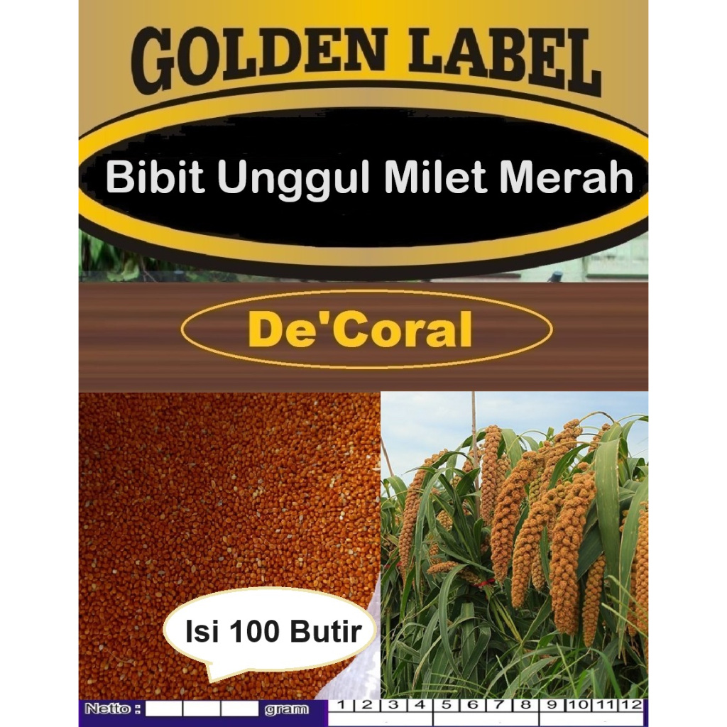 Bibit Unggul Milet Merah|Biji Benih Milet Merah|Biji Bibit Tanaman Milet Merah