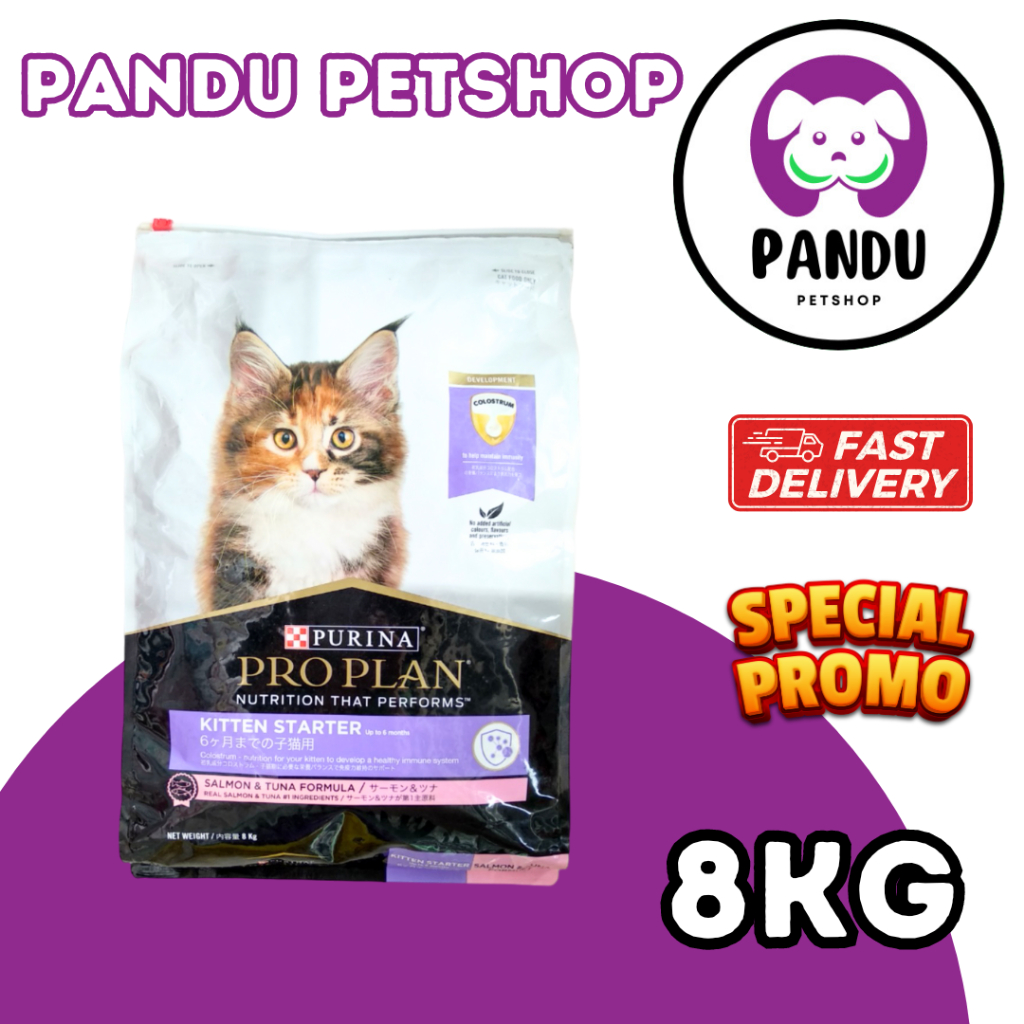 PROPLAN KITTEN STARTER 8 KG EKSPEDISI