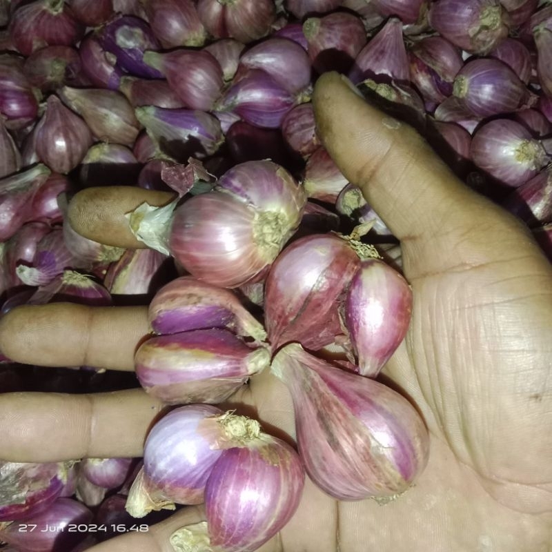 

Bawang Merah SUPER BESAR SEDANG Brebes Asli 500gr & 1Kg