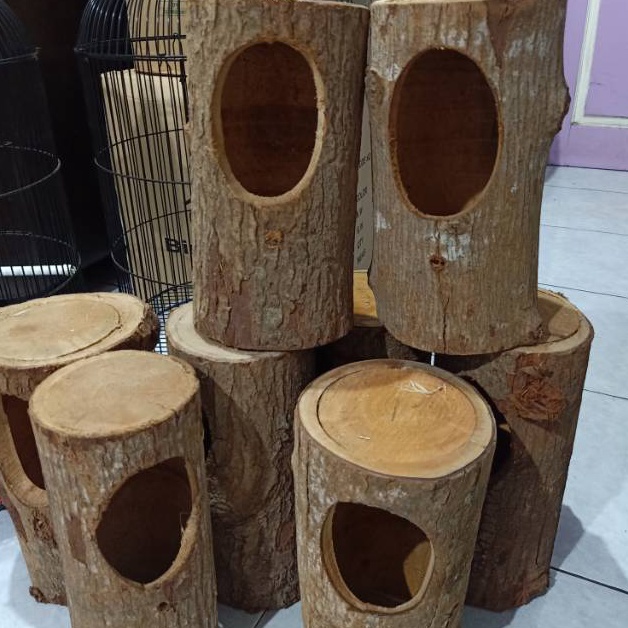 KODE T13F Glodok pohon untuk murai batu kacer  glodok burung  rumah burung