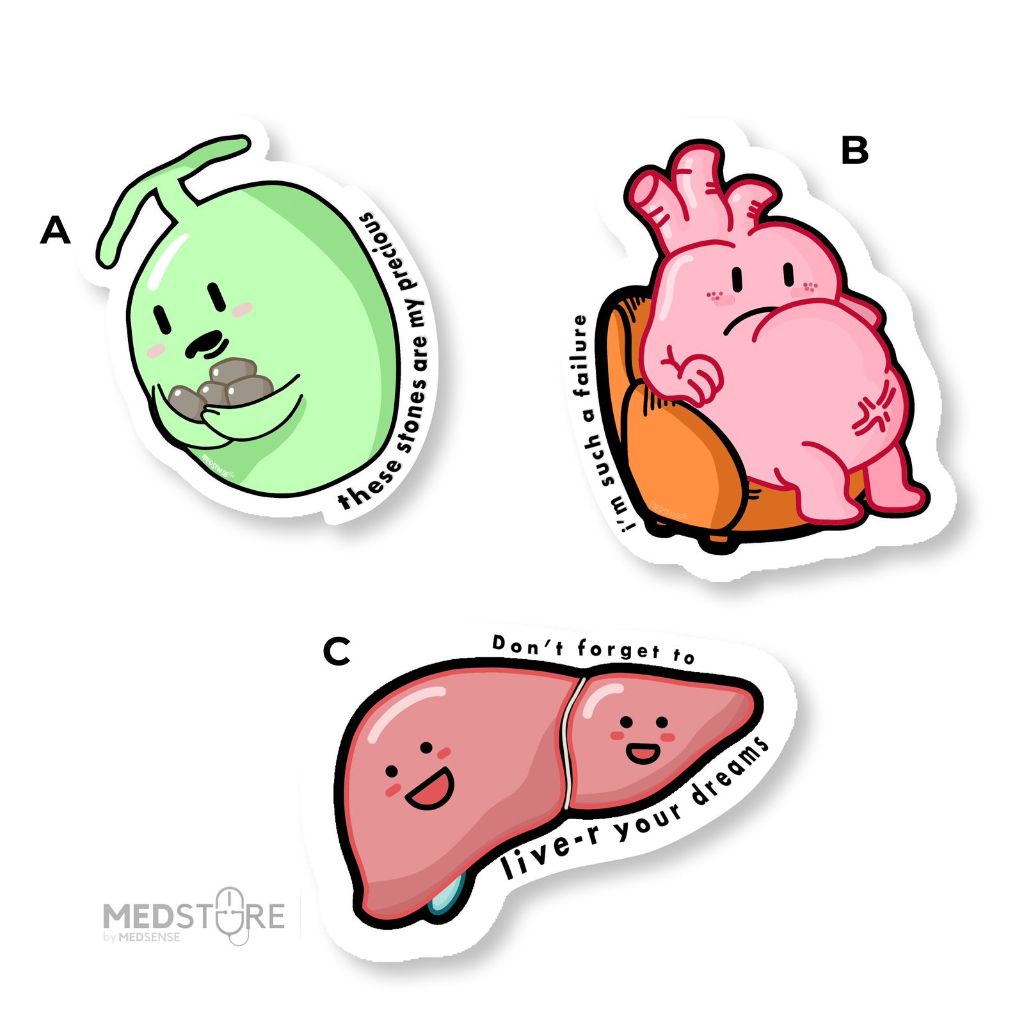 

Meddy Stiker Deco - Stiker Vynil Ecer (pcs)