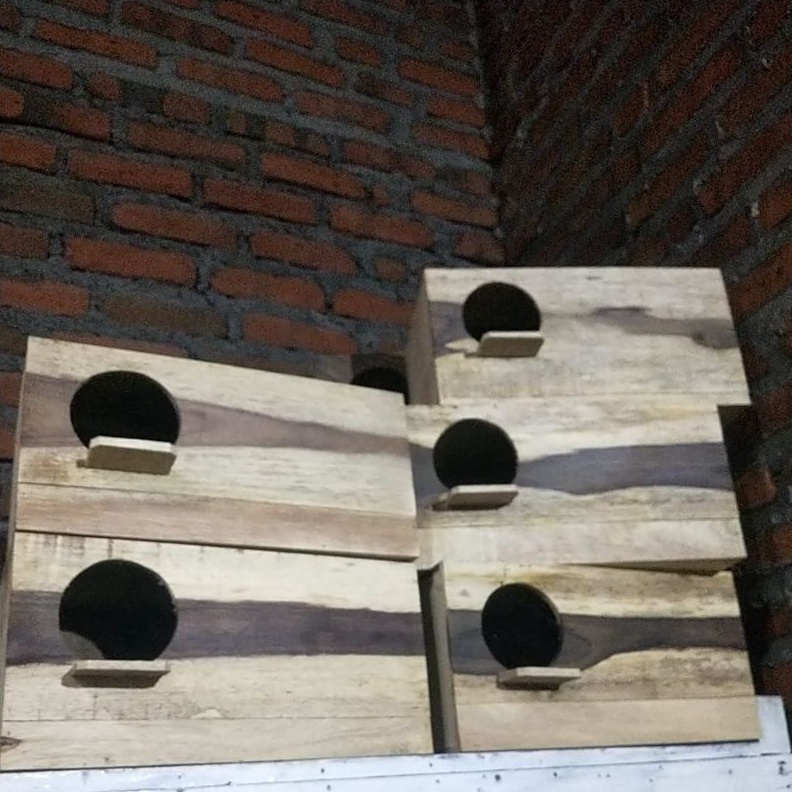 KODE W37V GLODOG FALK GELODOG FALK GELODOK PARKIT AUSTRALIA GLODOK FALK PARKIT AUSTRALIA GLODOG SARA