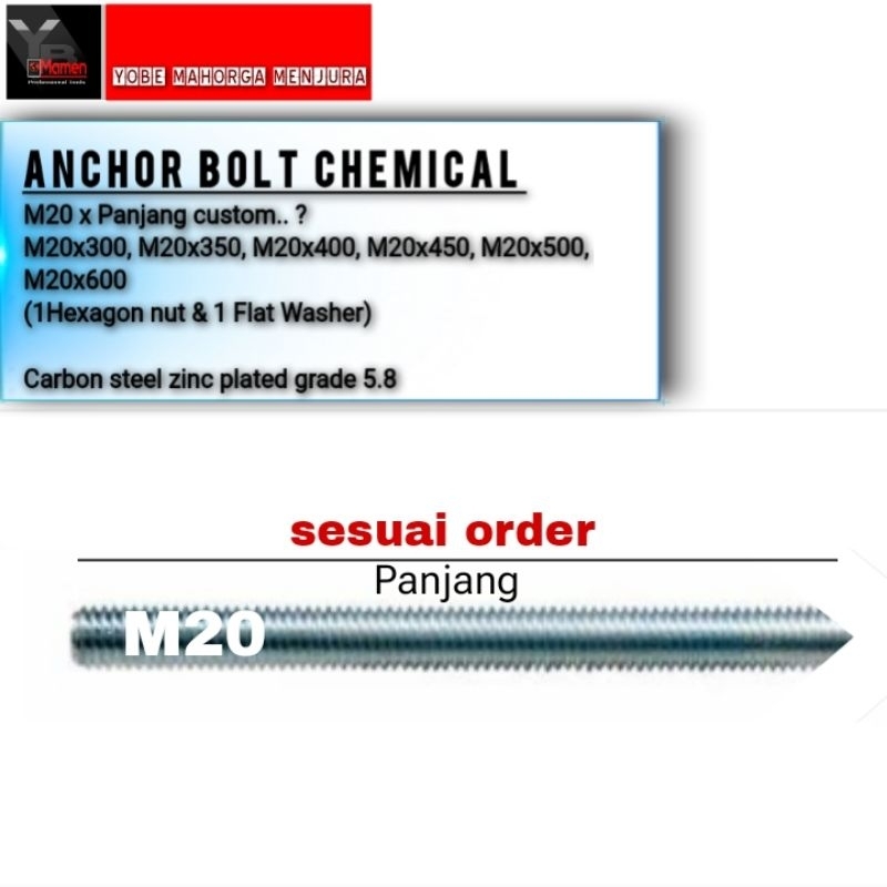 Anchor bolt chemical M20x300 grade 5.8