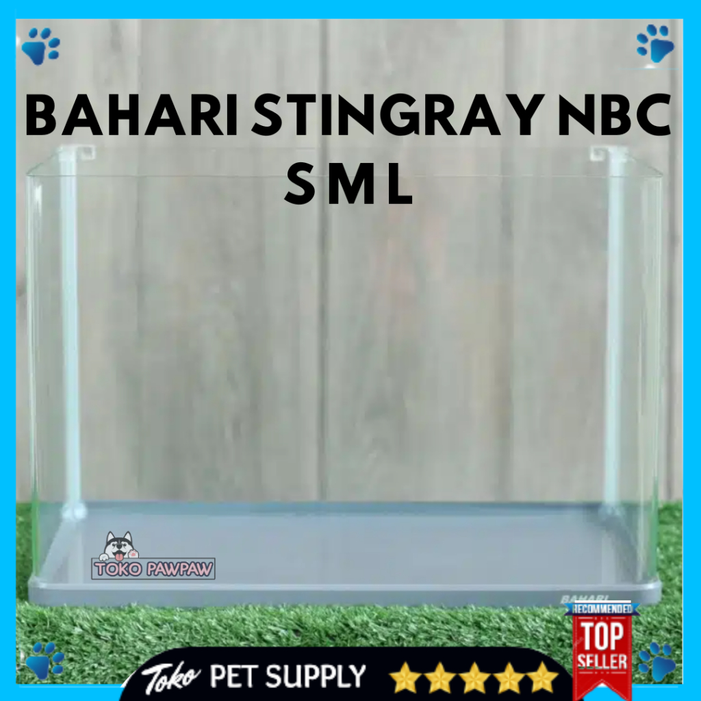 NISSO BAHARI STINGRAY NBC SML Aquarium Stingray Nisso Bahari NBC Akuarium Stingray Nbc 3 Ukuran