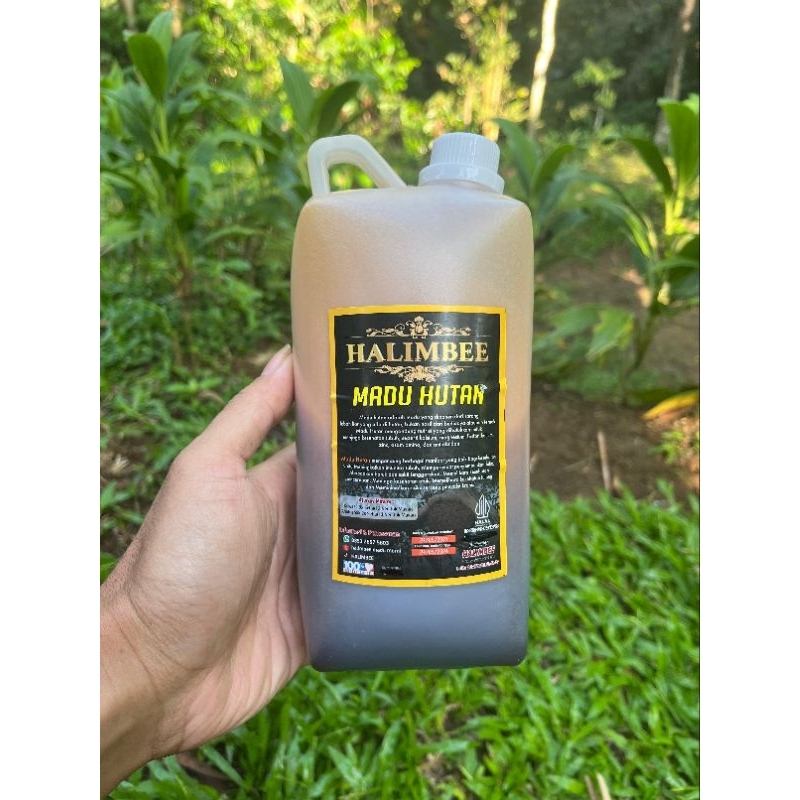 

p4yu Madu Murni Lebah Liar Sialang Nektar Akasia 1 kG - HALIMBEE