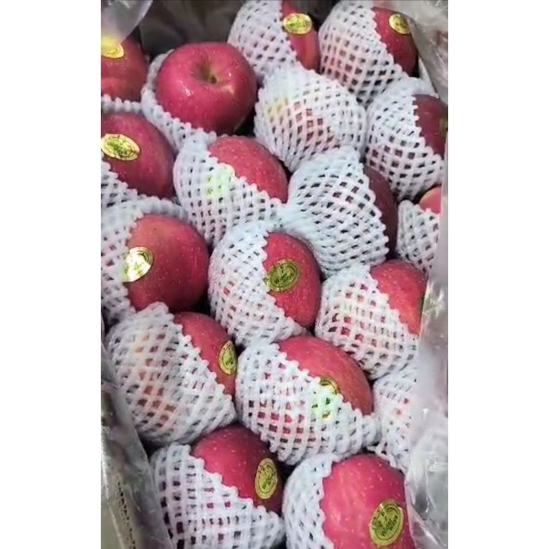 

apel fuji rosy wyderways