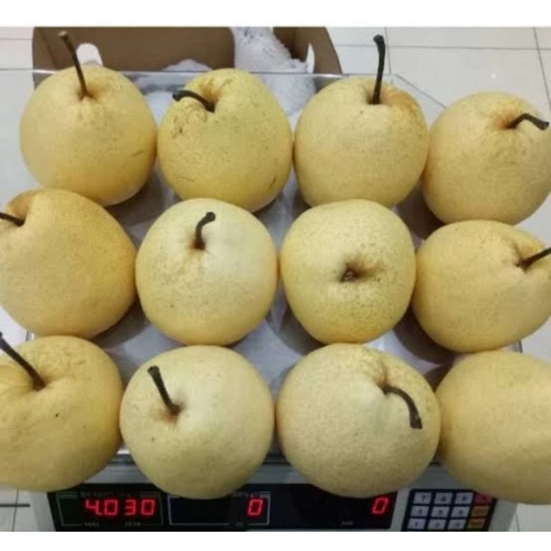 

Buat Pear Madu / Sweet Manis berat 1kg