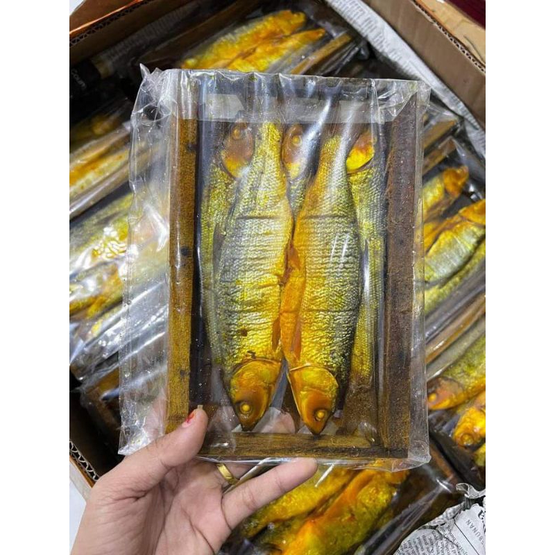 

BANDENG PRESTO COD KHUSUS KOTA JAMBI/KABUPATEN JAMBI