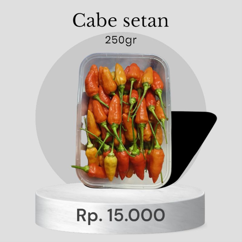 

cabe rawit setan /cabe jawa /cabe pedas